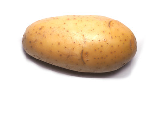 Potato isolate on white background.