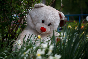 мягкая игрушка медведь в огороде,
soft toy bear in the garden,