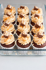 Cupcakes with peanut butter cream cheese frosting, chocolate bites, salted caramel and chopped nuts. Plain background