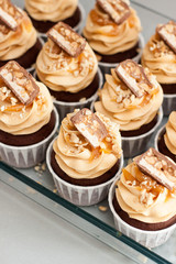 Cupcakes with peanut butter cream cheese frosting, chocolate bites, salted caramel and chopped nuts. Plain background