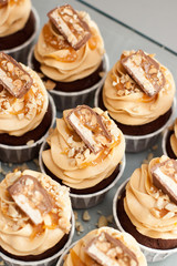 Cupcakes with peanut butter cream cheese frosting, chocolate bites, salted caramel and chopped nuts. Plain background