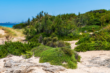 Golden beaches and clear sea. Magic of Salento. Punta della Suina. Puglia, Italy