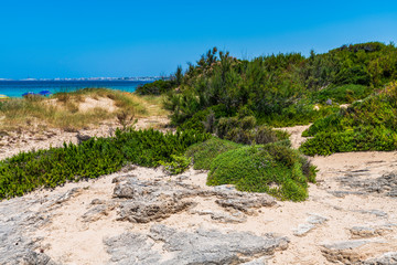 Golden beaches and clear sea. Magic of Salento. Punta della Suina. Puglia, Italy