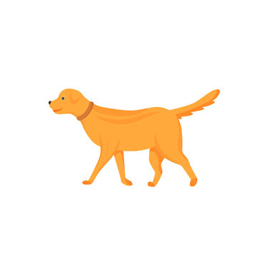 Ginger dog flat color vector character. Domestic animal on walk. Pet sitting and daycare. Veterinary and clinic. Puppy stand isolated cartoon illustration for web graphic design and animation