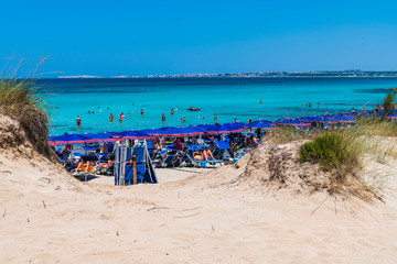 Golden beaches and clear sea. Magic of Salento. Punta della Suina. Puglia, Italy