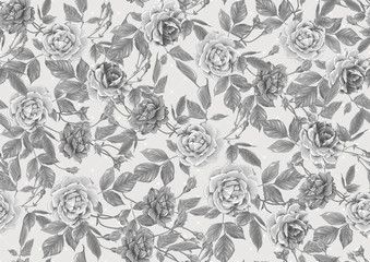 Fototapety  Seamless pattern with roses flowers. Vector illustration in monochrome gray colors