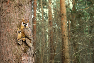 garden sculpture of an owl. Plaster statuette of an owl hanging on pine tree. forest landscape with decorative owls.