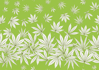 Naklejka na ściany i meble Cannabis leaves seamless pattern, background. Vector illustration in green colors.