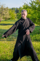 a kung fu master practiing qigong in a wild garden