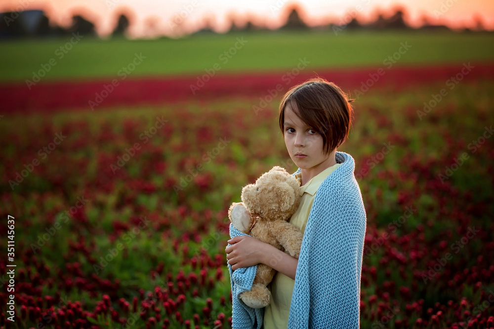 Canvas Prints Beautiful children, brothers in gorgeous crimson clover field on sunset,