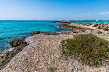Golden beaches and clear sea. Magic of Salento. Punta della Suina. Puglia, Italy