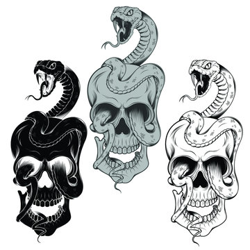 Vector design of snake wrapping a skull in black and white