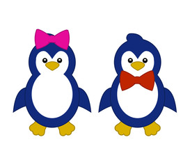 Colorful female and male penguin.  Cute bird.
