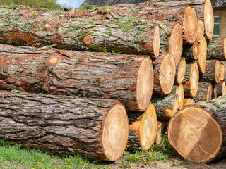 Stack of sawn logs, wood pile reserve for the winter. Pile of chopped firewood. Background texture wood.