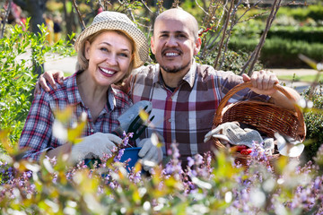 portrait of a lovely senior couple taking care of green plants in the garden