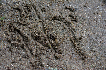 black sand and water