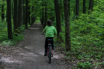 Fototapeta premium boy is riding a bike in deep dark green forest ,outdoor activities on fresh air, beautiful wild nature, healthy lifestyle
