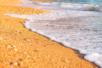 Sea shore in the rays of the setting sun.