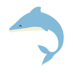 cute dolphin animal vector