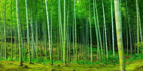 Poster Im Rahmen Bambuswald von Arashiyama in der Nähe von Kyoto, Japan © Patryk Kosmider