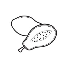 Papaya illustration