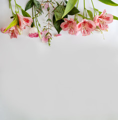 floral white background