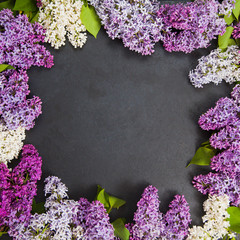 Square background with copy space in center and lilac blossom on border. Floral arrangement on dark background.