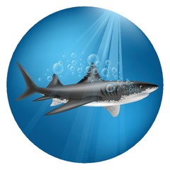 A shark underwater illustration.
