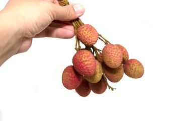 A bunch of lychee in the hand, white background