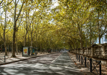 Public garden along Place des Quinconces, Bordeaux France, with a canopy of green trees.