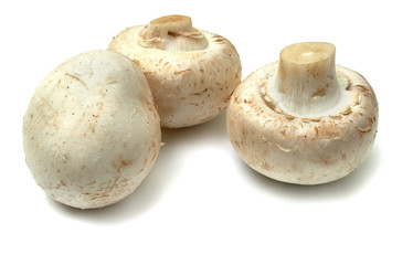 Three beautiful mushroom isolated on white background.