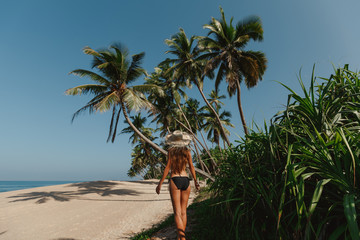Back view young woman walking under the palm trees. Woman enjoying beach relaxing in summer  tropical county. Green tropical trees and palms background.
