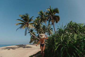 Back view young woman walking under the palm trees. Woman enjoying beach relaxing in summer  tropical county. Green tropical trees and palms background.