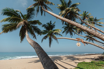 Fototapety  Summer lifestyle picture ypung woman lie on palm tree, have fun near ocean. Summer beach vacation