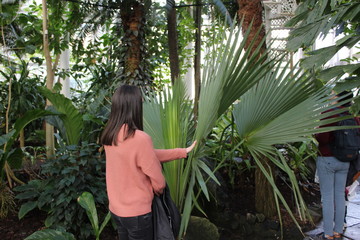 Young girl with pink sweater and black jeans touching big leaf of palm in a botanical garden with lot of green around her 