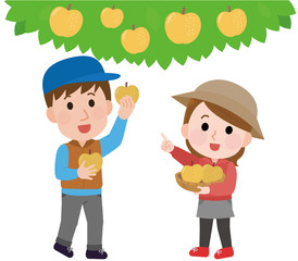 梨狩りする男女　イラスト