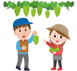 マスカット狩りする男女　イラスト