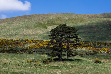 Irlands wilder Westen