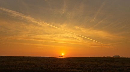 Mglisty poranek nad polem i łąką