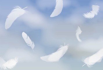 舞い散る羽と空の背景イラスト © Chibiko