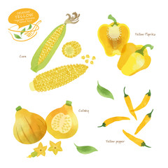 黄色い野菜のイラスト/アソート/手描き
