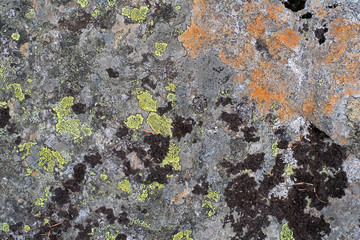plat stone