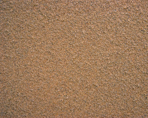 Ivory horizontal wall covered with plaster texture.