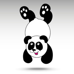 Cute baby panda (somersault)