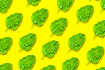 Background from the leaves of plantain on a yellow base. Vegan style. Leaves are arranged randomly.