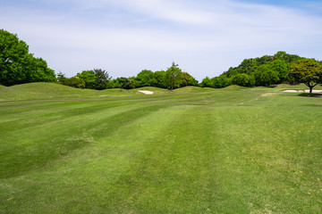 Fototapeta premium Golf Course with beautiful green field. Golf course with a rich green turf beautiful scenery.