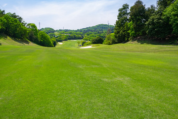 Fototapeta premium Golf Course with beautiful green field. Golf course with a rich green turf beautiful scenery.