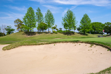 Fototapeta premium View of Golf Course with beautiful putting green. Golf course with a rich green turf beautiful scenery.