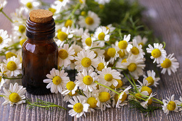 White daisies and chamomile oil in small bottles