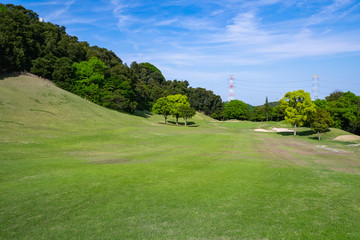 Obraz premium Golf Course with beautiful green field. Golf course with a rich green turf beautiful scenery.